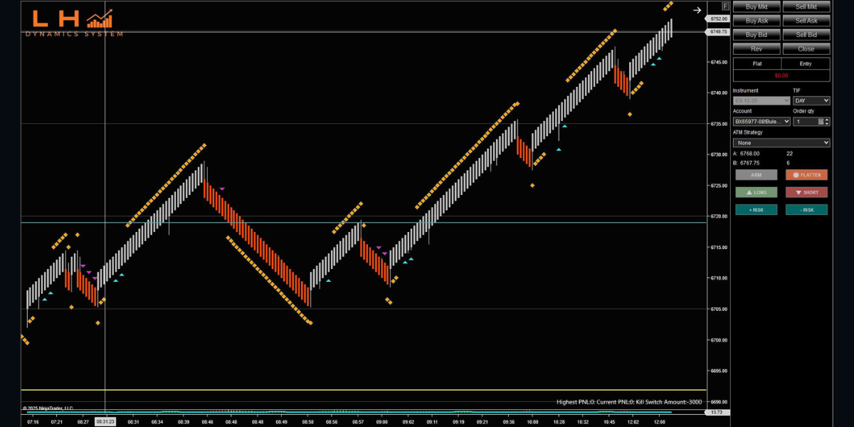 LH Dynamics screenshot 9